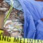 Penyelidikan Kasus Kuburan Bansos