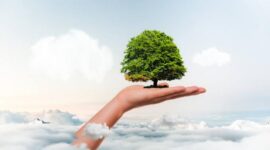 PT GRP berkomitmen menjaga lingkungan tetap hijau di masa depan dengan transformasi dan investasi yang dilakukan