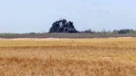 Source : CNNIndonesia.com