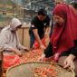 <p>Pramono Pastikan Lonjakan Harga Cabai tak Ganggu Inflasi</p>