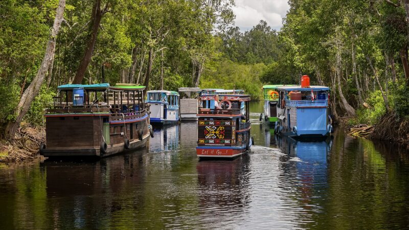 Kawasan Taman Nasional Tanjung Puting, Kalimantan Tengah. (Foto: Wikimedia Commons)